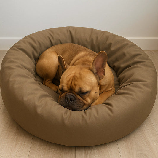 Cama DogLove - Super rellena Fresh Version